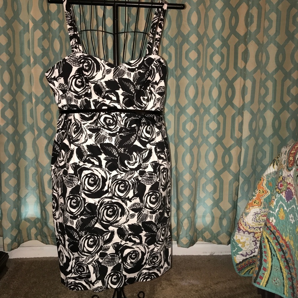 Lane Bryant dress-GREAT condition!